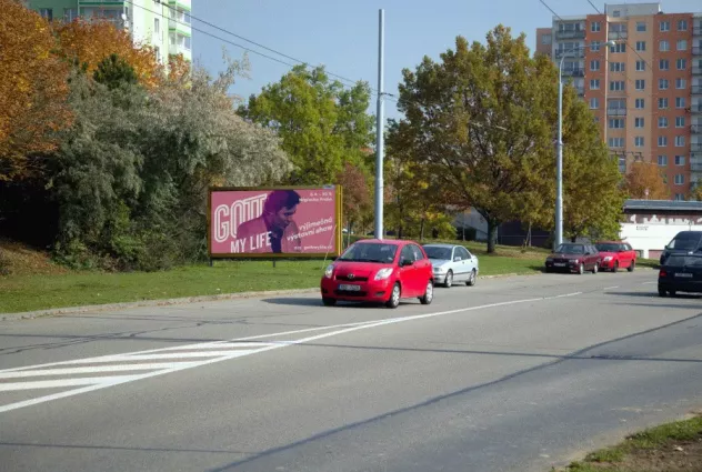 Věstonická /Čejkovická, Brno, Brno, billboard